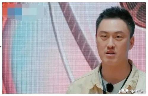 娱乐圈吃瓜爆料王是谁,揭秘幕后真相的神秘人物  第2张