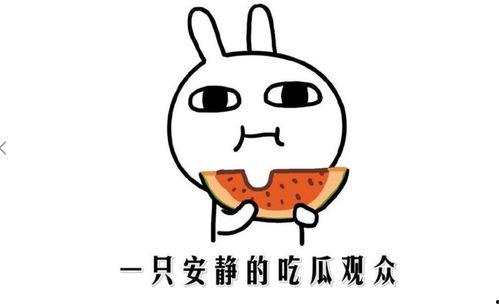 吃瓜是啥意思,网络热词背后的文化现象  第3张